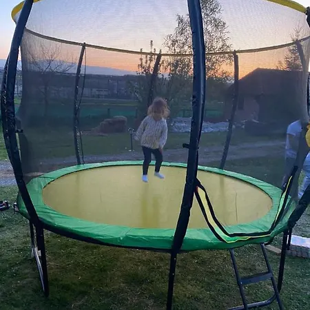 Brvnare Rodjak Sa Sela Mionica