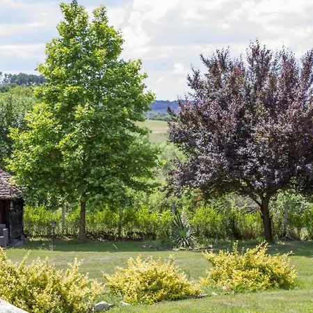 Brvnare Rodjak Sa Sela *