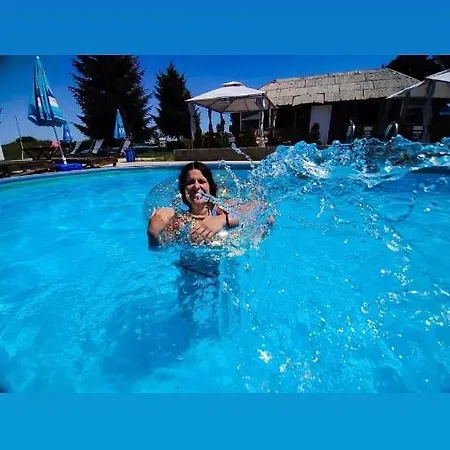 Brvnare Rodjak Sa Sela *