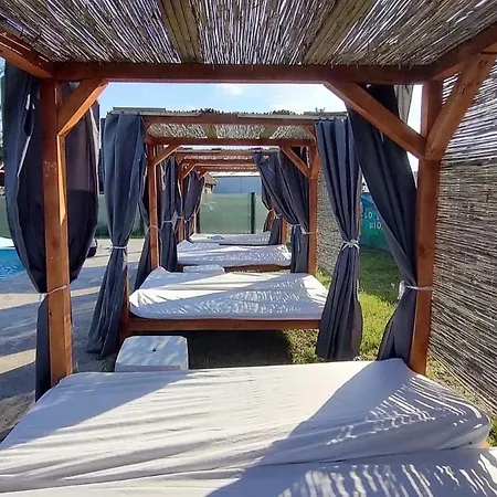 Brvnare Rodjak Sa Sela Mionica