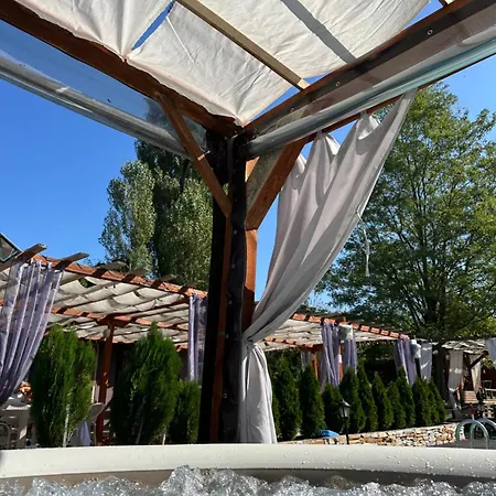 Brvnare Rodjak Sa Sela Mionica