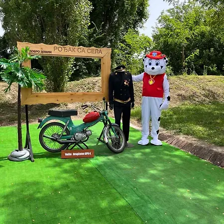 אכסניה Brvnare Rodjak Sa Sela Mionica