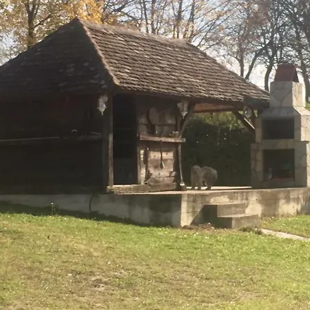 Brvnare Rodjak Sa Sela * Mionica