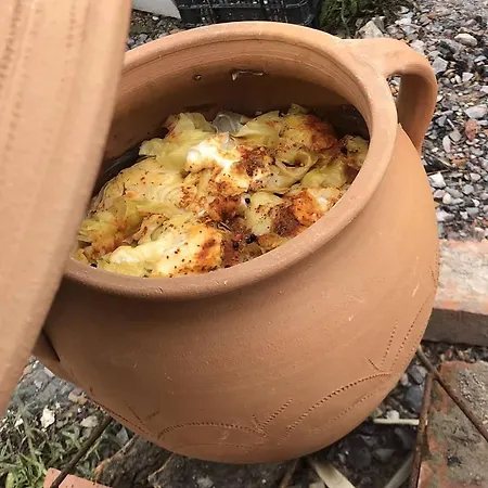 Brvnare Rodjak Sa Sela אכסניה Mionica