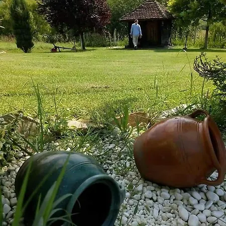 Brvnare Rodjak Sa Sela Lodge Mionica