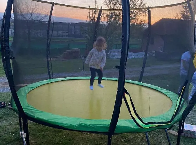 Brvnare Rodjak Sa Sela Mionica