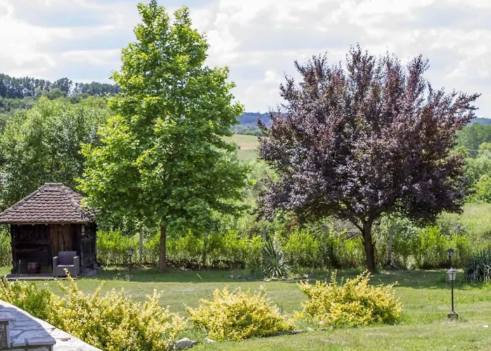 Brvnare Rodjak Sa Sela *