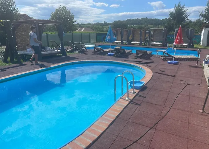 Brvnare Rodjak Sa Sela Mionica