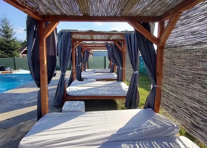 Brvnare Rodjak Sa Sela Mionica