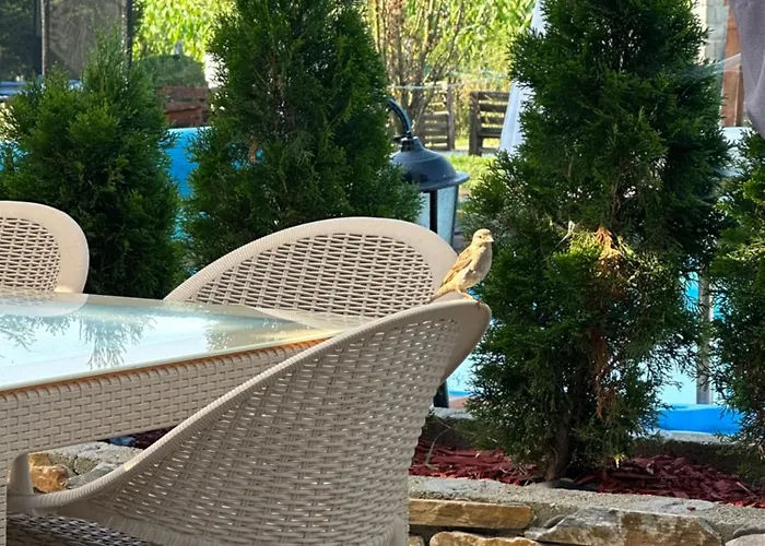 山林小屋 Brvnare Rodjak Sa Sela *