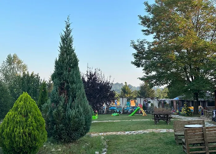 Brvnare Rodjak Sa Sela * Mionica