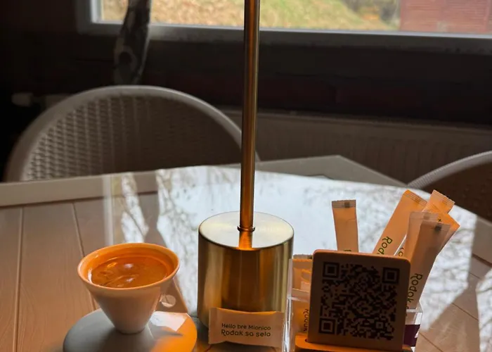 Brvnare Rodjak Sa Sela 山林小屋 *