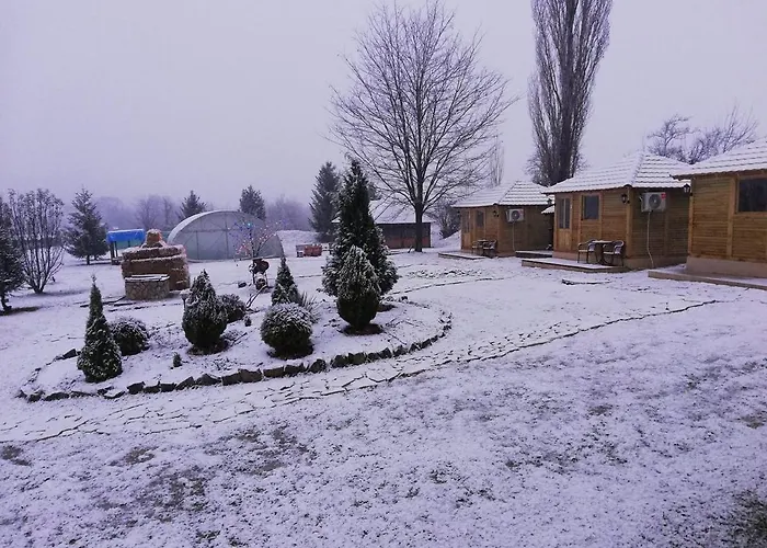 Brvnare Rodjak Sa Sela * Mionica