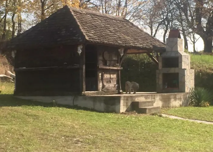 Brvnare Rodjak Sa Sela * Mionica