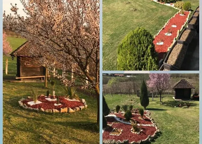 Brvnare Rodjak Sa Sela 山林小屋