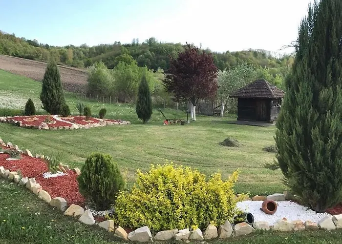 山林小屋 Brvnare Rodjak Sa Sela *