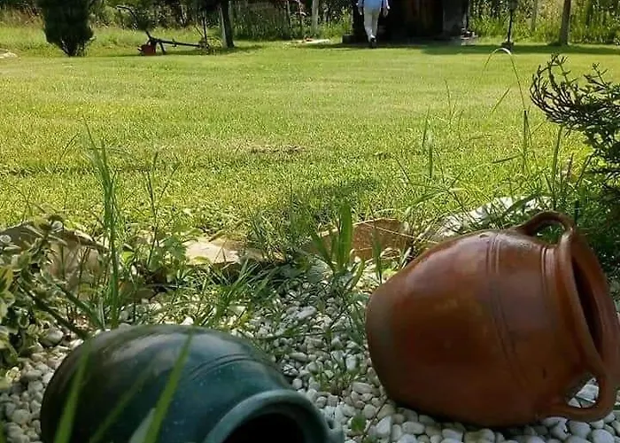 Brvnare Rodjak Sa Sela 山林小屋 Mionica